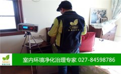 武汉市武昌区复地东湖国际室内空气检测