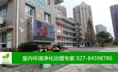武汉市汉阳区钟家村实验小学室内空气检测