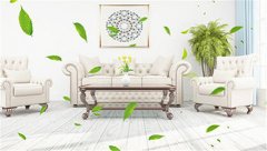 对付甲醛应该这样做