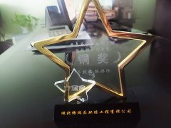 2020格瑞乐环保入选武汉科技创新企业领跑者系列活动候选