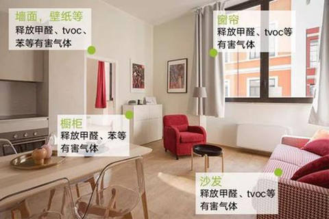甲醛治理,有害气体,细节,除甲醛公司