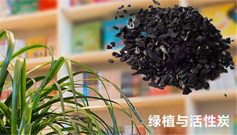 除甲醛方法,武汉除甲醛,绿植