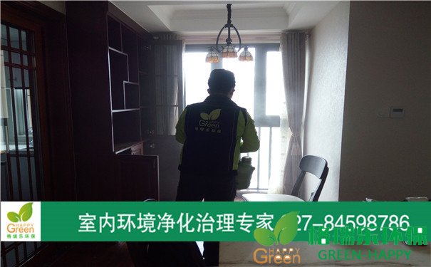 甲醛治理，甲醛污染，格瑞乐，武汉除甲醛，汉阳绿地中央广场