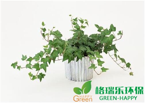 甲醛治理，甲醛污染，格瑞乐，武汉除甲醛，