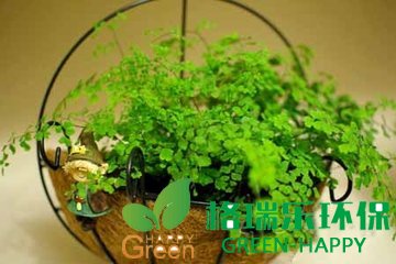 武汉除甲醛，甲醛治理