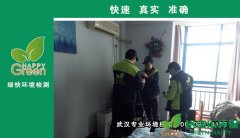 武昌欧景苑丹枫庭业主新房甲醛检测