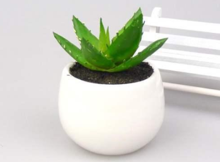 甲醛的克星是什么？