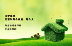 除甲醛怎么做好呢?