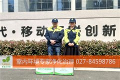 武汉除甲醛 五一选格瑞乐！