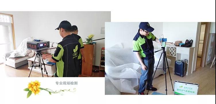 六一儿童节，湖北格瑞乐环保，武汉除甲醛，武汉甲醛检测