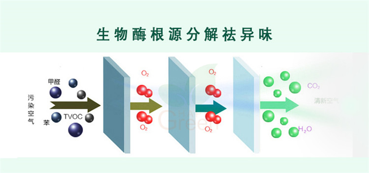 自由呼吸 是美好生活的开始 第三代格瑞乐绿快光催化植物生物触媒 母婴安全级，专注于室内空气污染治理 除醛除味 综合治理倡导者 践行者 一站式服务除甲醛 严谨的态度 可靠的技术 自然的理念 贴心的服务 安全品质 值得信赖 甲醛的三大危害 危害一：长痘、失眠多梦、头晕、精神不振 危害二：咳嗽/呼吸道难受/哮喘/致癌 危害三：老人小孩抵抗力变差 健康才是真正的快乐