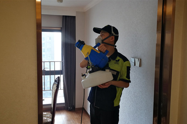 武汉除甲醛,专业除甲醛,新房除甲醛,除甲醛公司