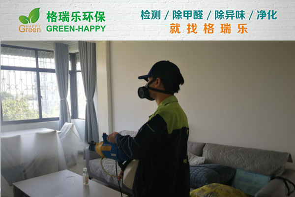 武汉室内甲醛治理,室内空气污染治理,专业去甲醛公司,