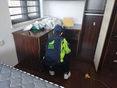 武汉职工宿舍除醛，专业妙招速收藏