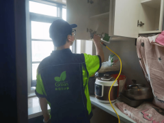 武汉新屋主看过来！除醛妙招大公开