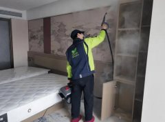 武汉新房主警惕！除醛踩坑实录与破局法