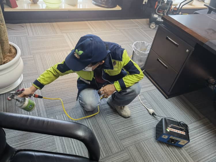 武汉除醛避坑！12种方法真假测评