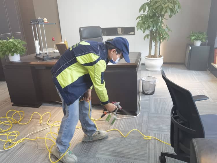 武汉除甲醛选格瑞乐！全场景治理，终身质保放心住