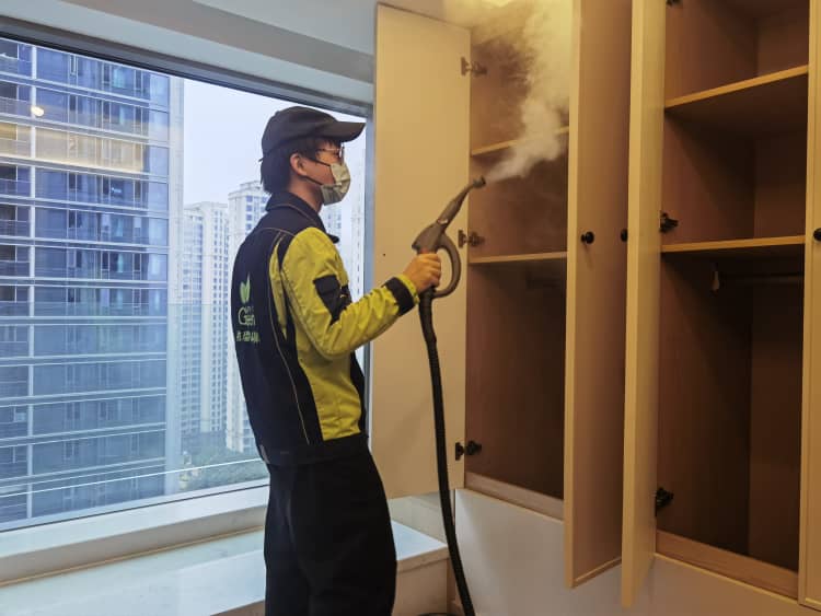 武汉新房除甲醛！10种吸醛植物+科学方案更靠谱